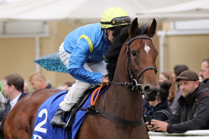 Dubai entries for Riemer horses | Rennbahn München