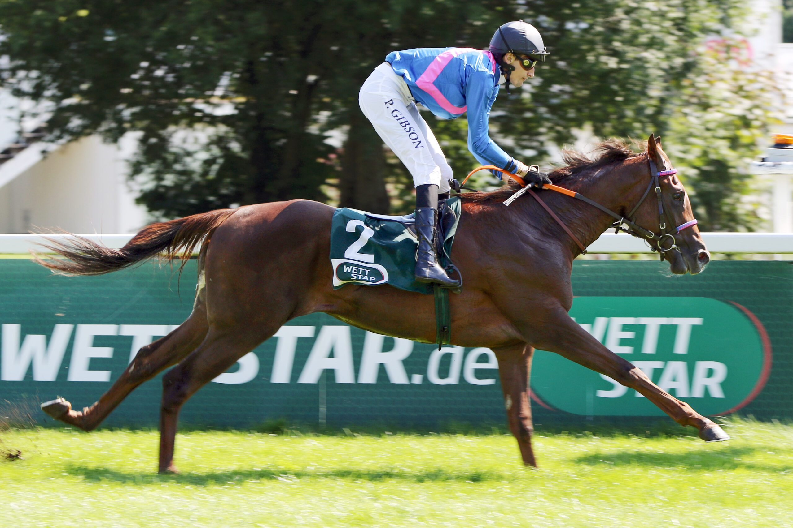 09.08.2025, Muenchen, Bayern, GER - Zuender mit Patrick Gibson gewinnt. Galopprennbahn Muenchen-Riem. (Pferd, Jockey, Zuender, Gibson, Sieg, Ziel, Zielankunft) 250809WB987MUENCHEN.JPG [Copyright (c) Frank Sorge, Fotograf, Tel. 0049(0)3078705340, Mobil: 0049(0)178 788 5678, Fax: 0049(0)30 78705341, web: www.galoppfoto.de, e-mail: info@galoppfoto.de, Bankverbindung: BIC: BELADEBEXXX, IBAN: DE10 100500000620159286 - NO MODEL RELEASE - bei Verwendung des Fotos ausserhalb journalistischer Zwecke bitte Ruecksprache halten - Foto ist honorarpflichtig!]